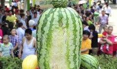 热门大瓜每日大赛